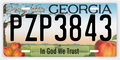 GA license plate PZP3843