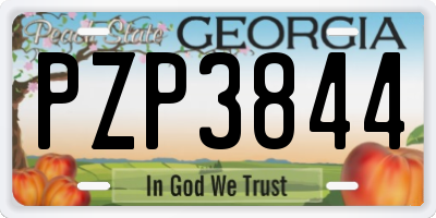 GA license plate PZP3844