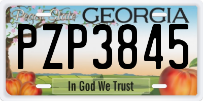 GA license plate PZP3845