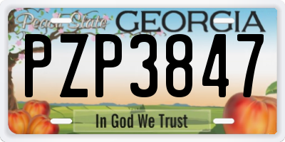 GA license plate PZP3847