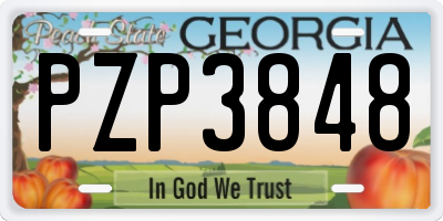 GA license plate PZP3848