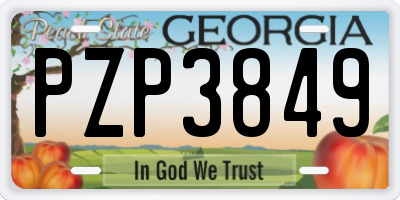 GA license plate PZP3849