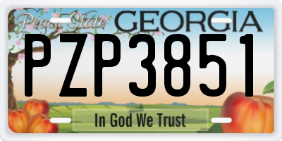 GA license plate PZP3851