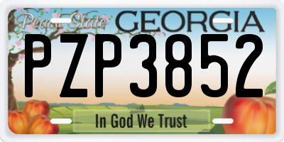 GA license plate PZP3852