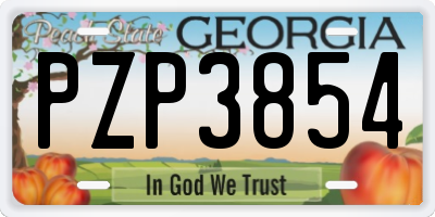 GA license plate PZP3854