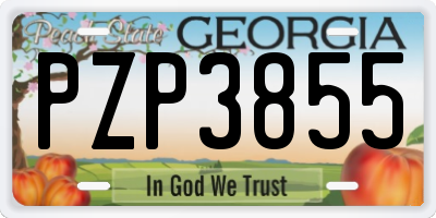 GA license plate PZP3855