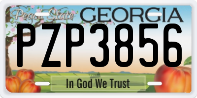 GA license plate PZP3856