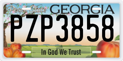 GA license plate PZP3858