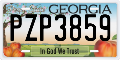 GA license plate PZP3859