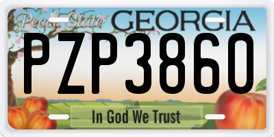 GA license plate PZP3860