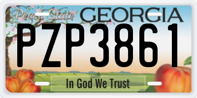 GA license plate PZP3861