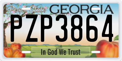 GA license plate PZP3864