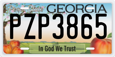 GA license plate PZP3865