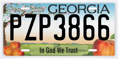 GA license plate PZP3866