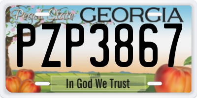 GA license plate PZP3867