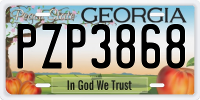 GA license plate PZP3868