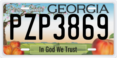 GA license plate PZP3869