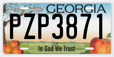 GA license plate PZP3871