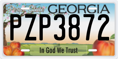 GA license plate PZP3872