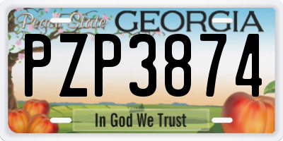 GA license plate PZP3874