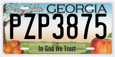 GA license plate PZP3875