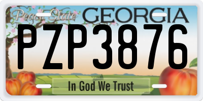 GA license plate PZP3876
