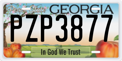 GA license plate PZP3877