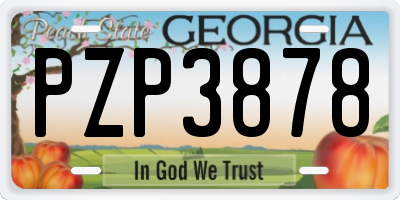 GA license plate PZP3878