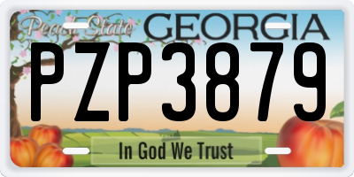 GA license plate PZP3879
