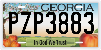 GA license plate PZP3883