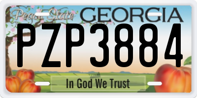 GA license plate PZP3884