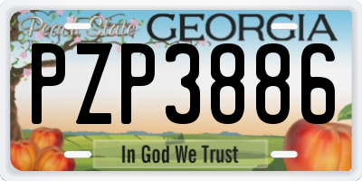 GA license plate PZP3886