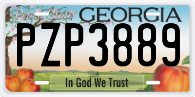 GA license plate PZP3889