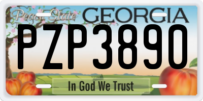 GA license plate PZP3890