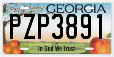 GA license plate PZP3891