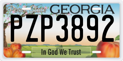 GA license plate PZP3892