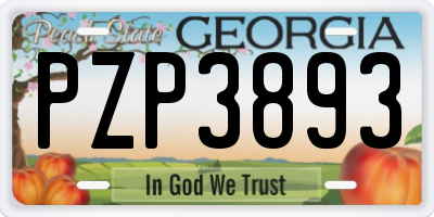 GA license plate PZP3893