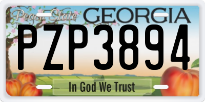 GA license plate PZP3894