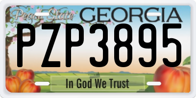 GA license plate PZP3895