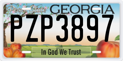 GA license plate PZP3897
