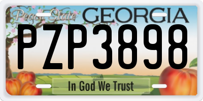 GA license plate PZP3898
