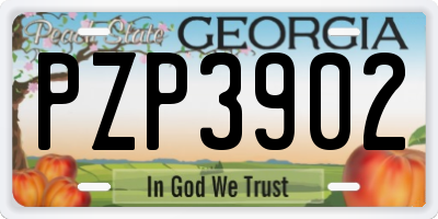 GA license plate PZP3902