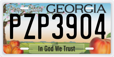 GA license plate PZP3904