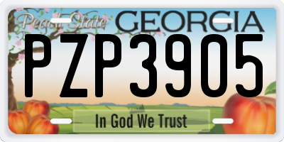 GA license plate PZP3905