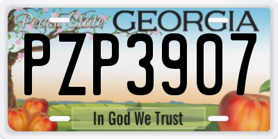 GA license plate PZP3907