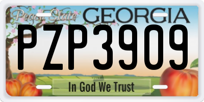 GA license plate PZP3909
