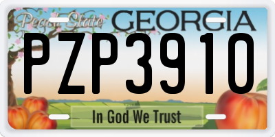 GA license plate PZP3910