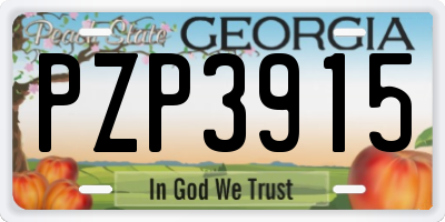 GA license plate PZP3915