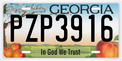 GA license plate PZP3916