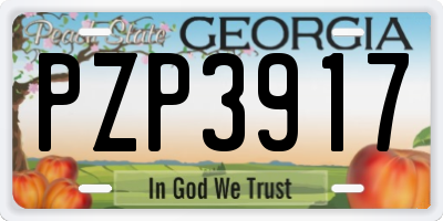 GA license plate PZP3917